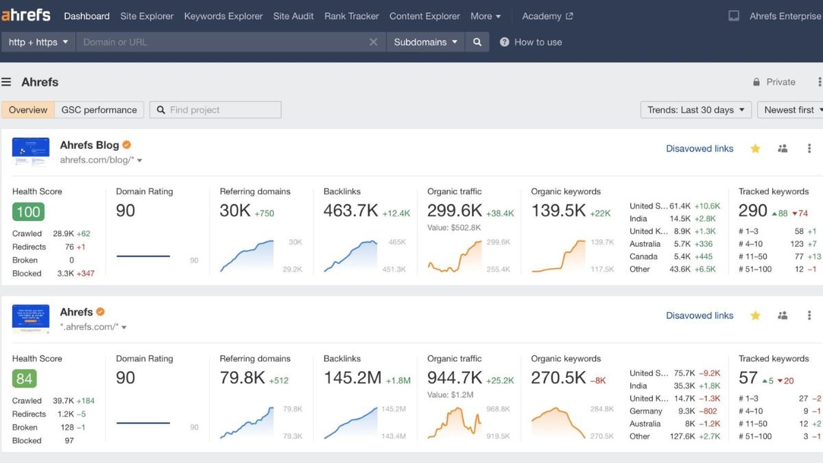 Ahrefs SEO tool - Dashboard